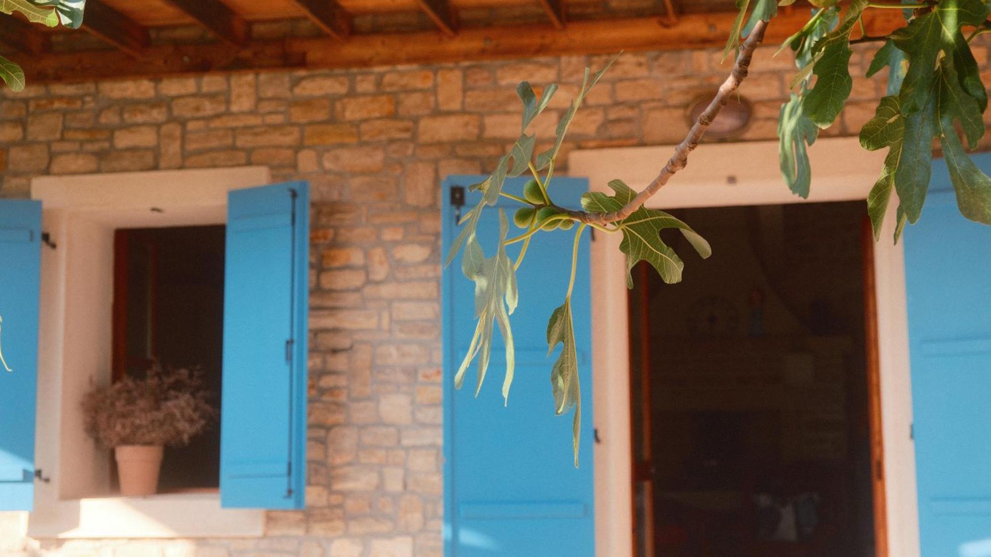Kamena Kuca Mamma Mia Villa Sukošan Dış mekan fotoğraf